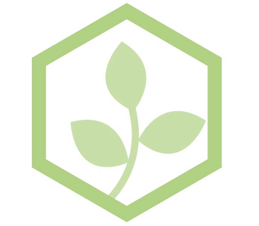 leaf icon
